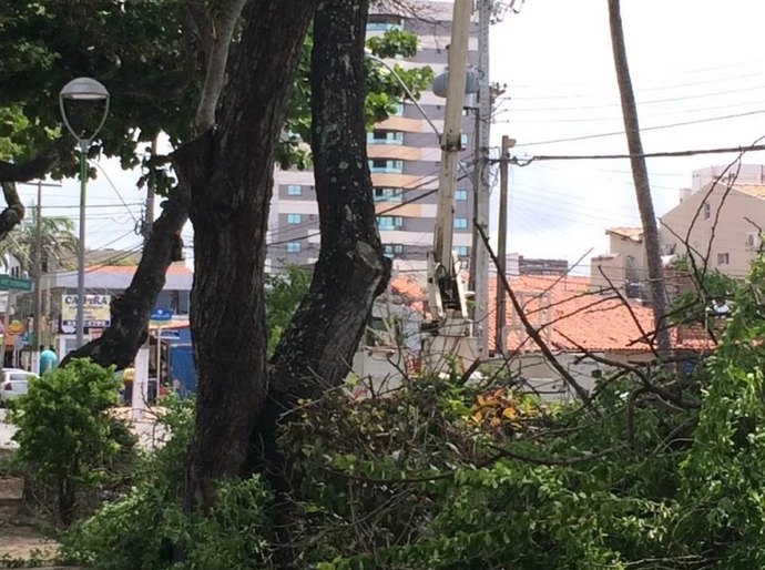 Sempma continua com poda e supressão na Jatiúca