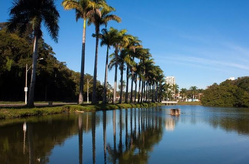 Esporte, cultura e saúde na região Norte de São Paulo