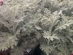 WhatsApp Image 2026-04-14 at 13.26.33.jpeg 