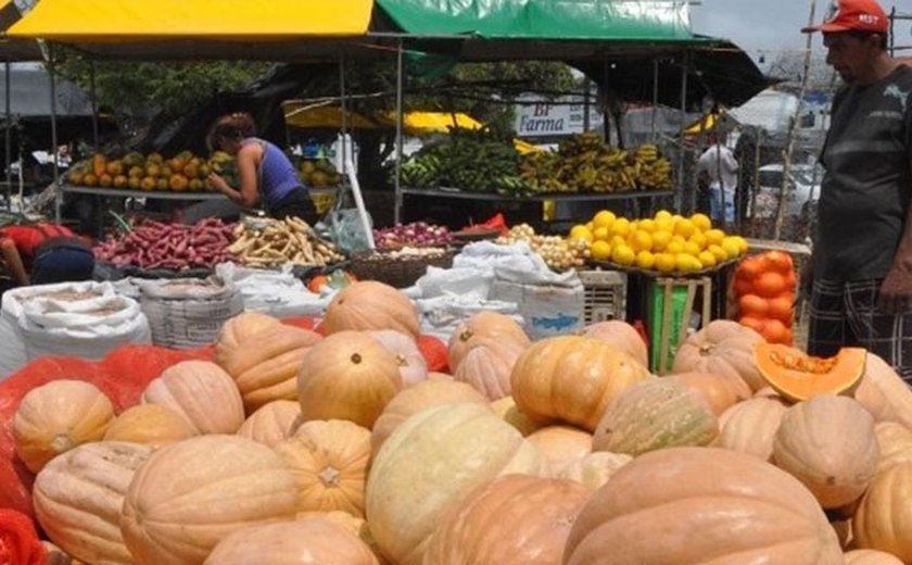 Feira Camponesa leva produção de assentamentos à mesa do maceioense