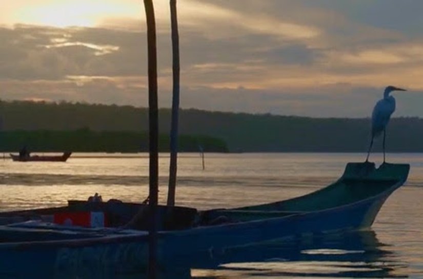 Alagoas ganha destaque em websérie nacional do Programa Transformando Territórios sobre filantropia comunitária