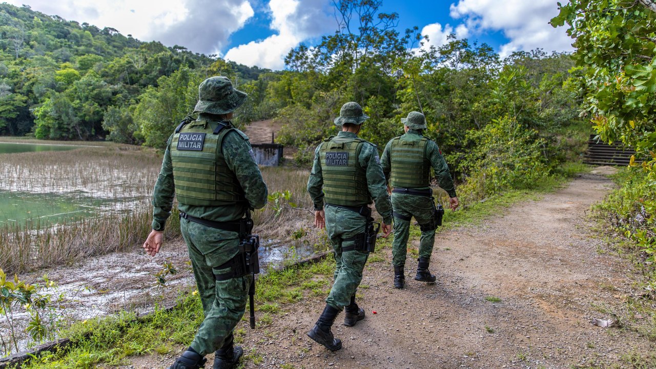 Polícia Militar resgata jaguatirica em área urbana no município de Penedo