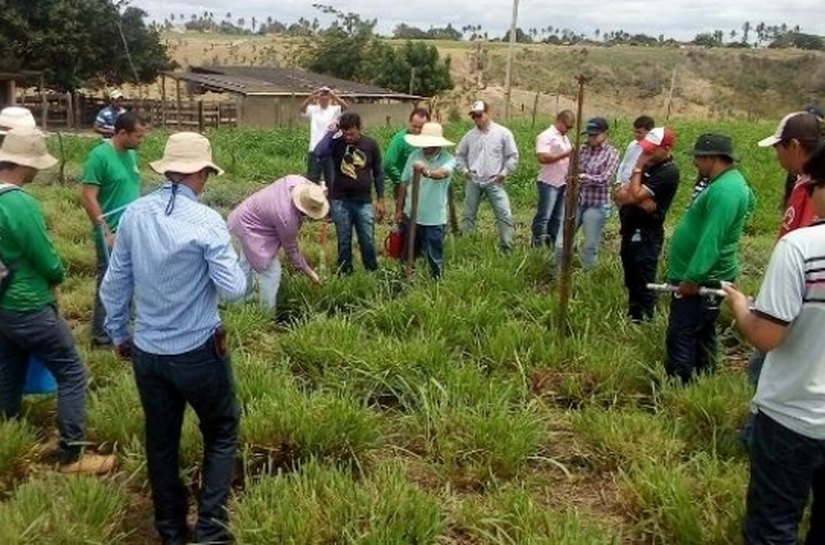 Curso orienta sobre uso intensivo de pastagem