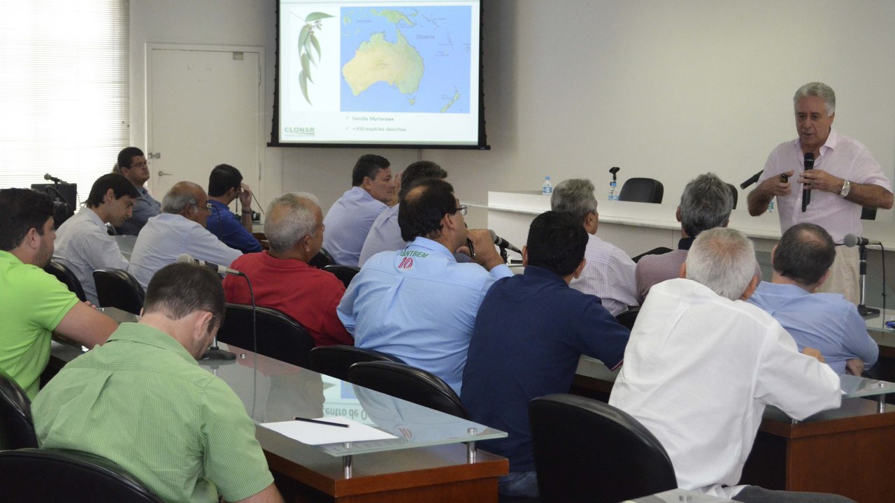 Especialistas apresentam resultados da plantação de clones de eucalipto em Alagoas