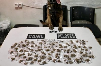 PM-AL efetua três prisões por homicídio, tráfico e receptação no interior