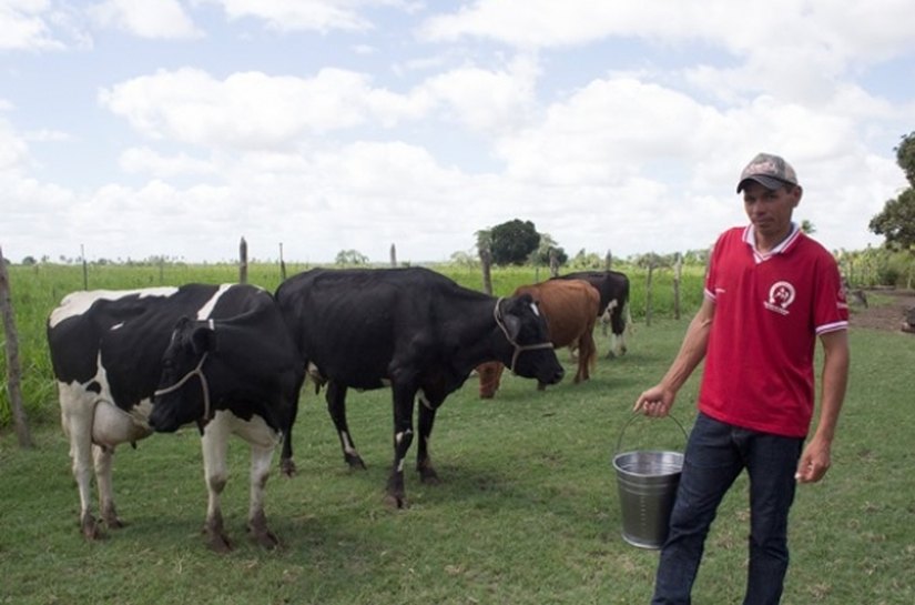 Fomento da Desenvolve ajuda pequeno produtor de leite