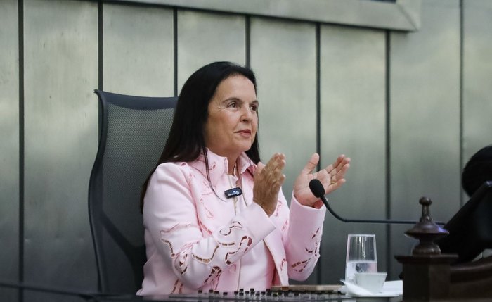 Projeto autoriza o Estado a utilizar tecnologia integrada para ampliar a prevenção da violência doméstica e garantir maior segurança às famílias em situação de vulnerabilidade