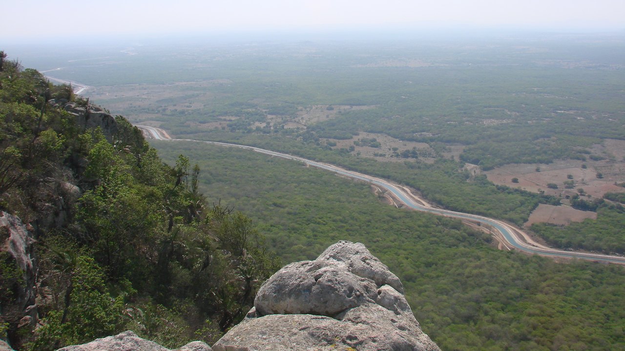 Dia da Caatinga é comemorado com programação no sertão alagoano