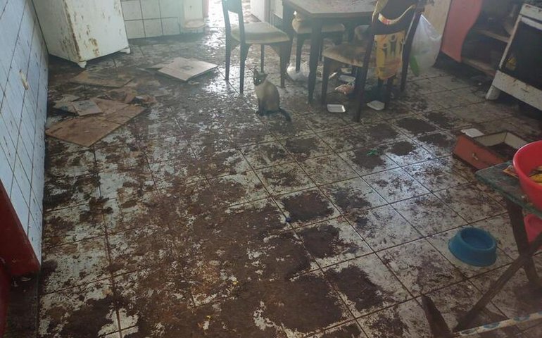 SSP resgata idoso de 87 anos de situação de maus-tratos na parte alta de Maceió