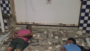 DHPP / Foto: Foto: SSP/SE