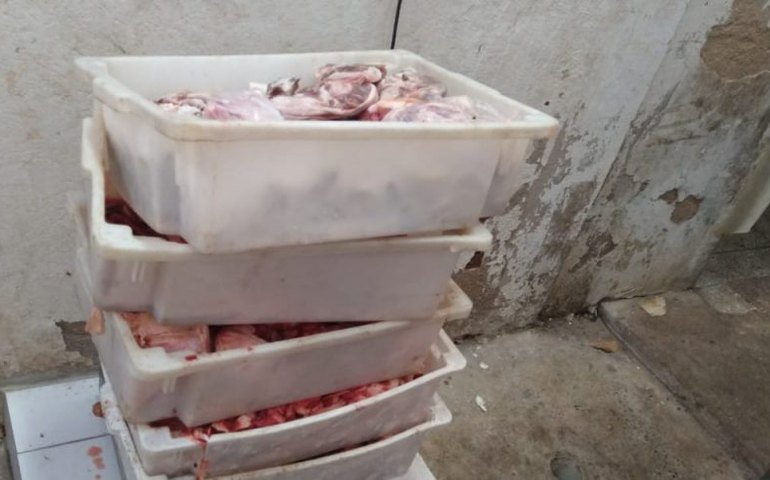 Fiscalização da Vigilância Sanitária apreende mais de mil quilos de carne vencidos