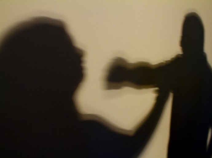 Estado estuda ações para redução da violência doméstica