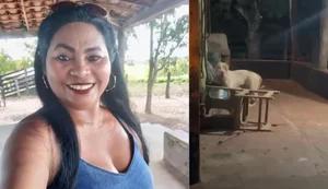 pXl41tnf2nQRsnAC9AFfzWWfby2UzVDKoHdd2zd1