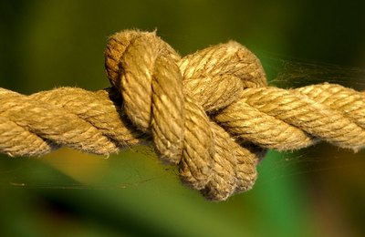 Arthur Lira convidou Rui para ser o senador da chapa com Rodrigo ao governo e JHC junto