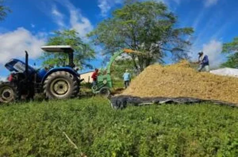 Prefeitura de Santana do Ipanema lança Programa Municipal de Produção de Silagem