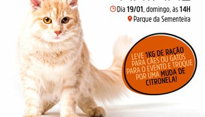 AMIGO ANIMAL / Foto: Arte Secom