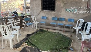 Quase trinta galos de briga com sinais de maus-tratos são apreendidos na Grande Aracaju