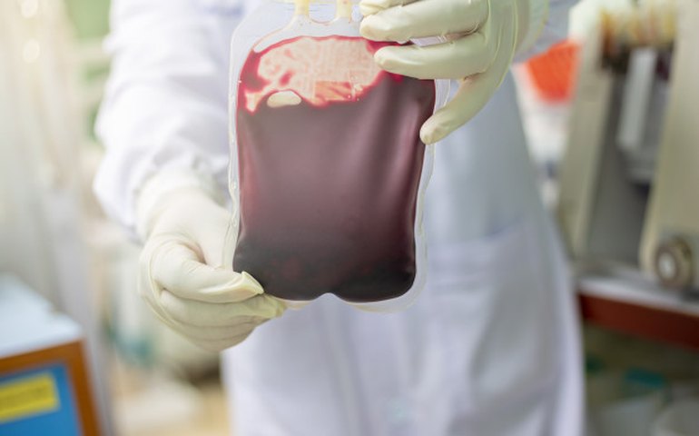 Brasil tem um dos maiores bancos de medula óssea do mundo