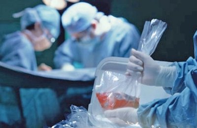 Ministério da Saúde lança ação inédita para incentivar a doação de órgãos; Alagoas contabiliza 66 transplantes em 2025