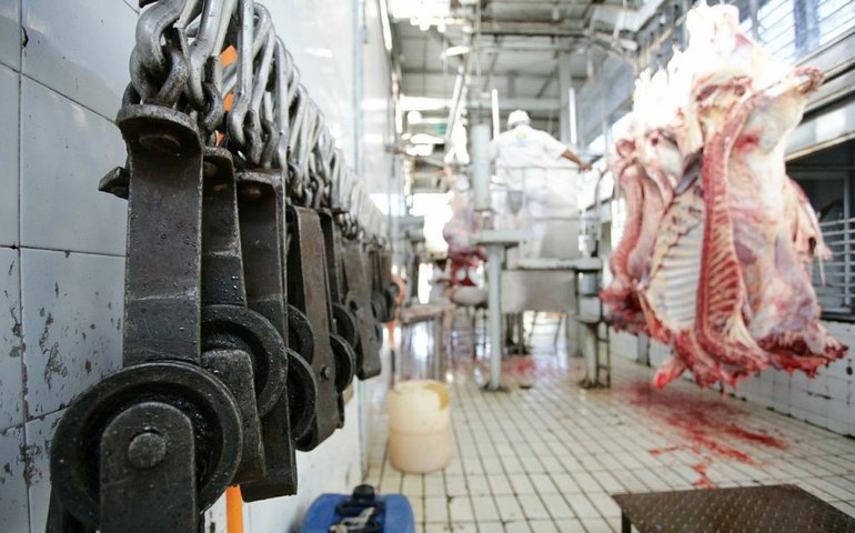 Fiscalização flagra irregularidades trabalhistas e ambientais e interdita matadouro em Coruripe, AL