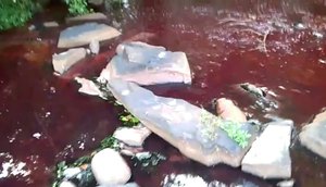 Rio vermelho