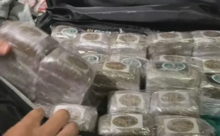 Homem é preso com 30 quilos de maconha no Aeroporto do Galeão, no Rio