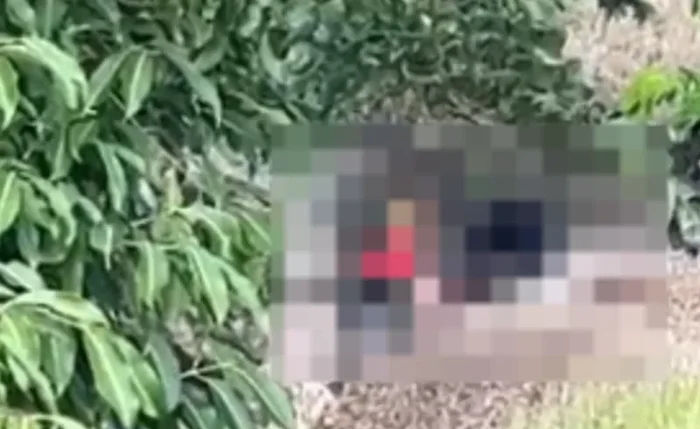 Corpo de homem é encontrado próximo a ponte na cidade de Branquinha