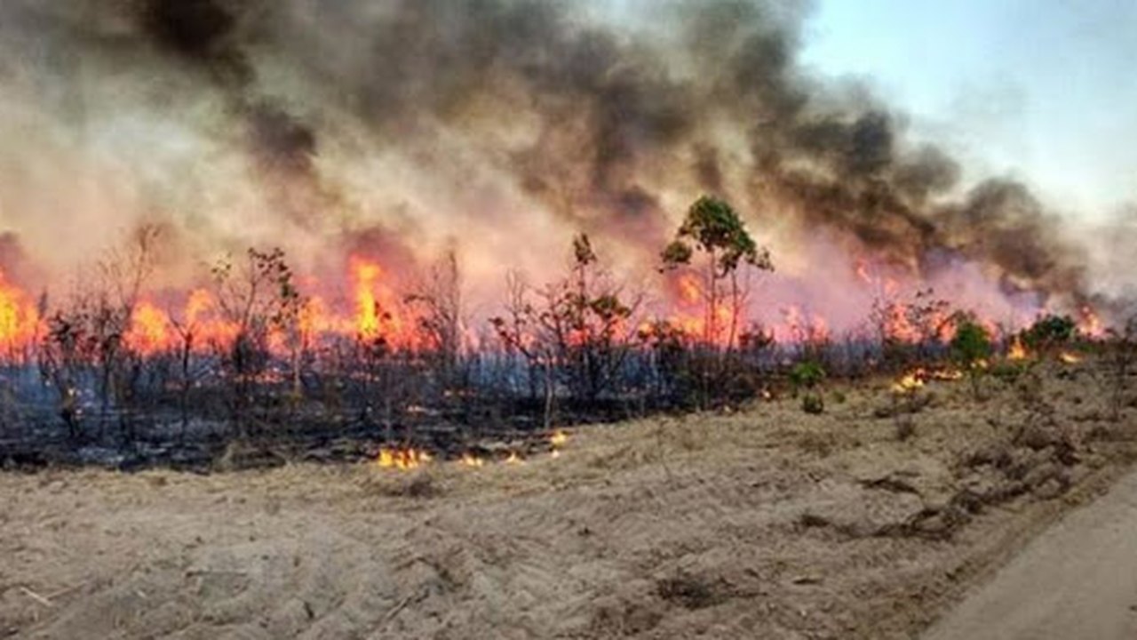 Aplicativo vai receber denúncias de queimadas na Amazônia