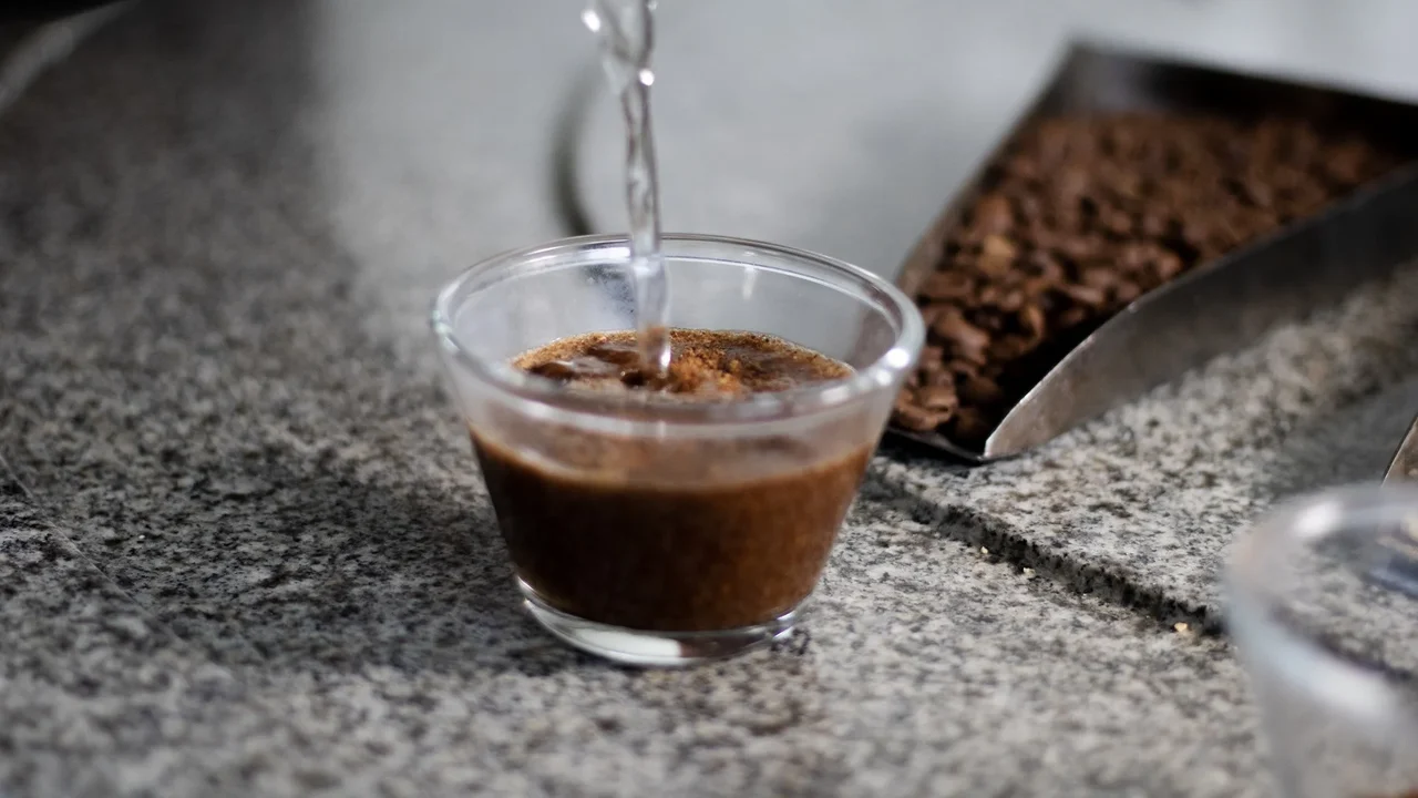 Vai um cafezinho aí? Cientistas descobrem como bebida age no intestino e no cérebro; entenda