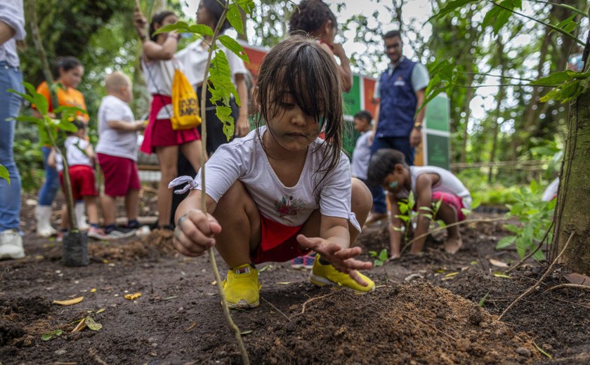 Dia da Árvore é comemorado com plantio de mudas no Parque Municipal