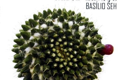 Basílio Seh lança CD Rádio Cabeça encerrando a temporada de 2017 do projeto Quinta no Arena
