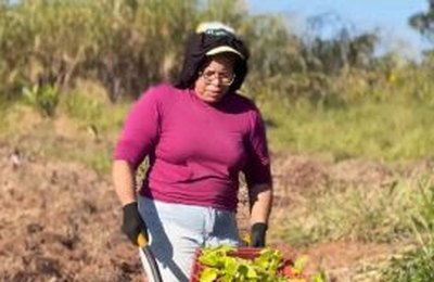 Semiárido, agricultura familiar e inclusão produtiva impulsionam finalistas do Nordeste em prêmio nacional