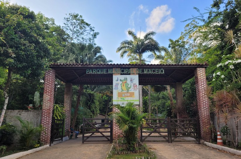 Aventura ambiental no Parque Municipal ajuda a conhecer melhor a natureza