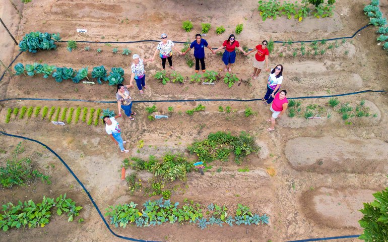 Hortas Urbanas unem a alimentação saudável ao combate à fome em Alagoas