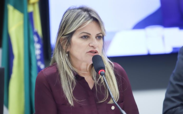 Orçamento 2026: relatora setorial pede recomposição de recursos para a área de Poderes de Estado