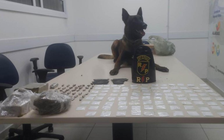 PM realiza prisões e apreensões em ações contra o crime na capital e interior