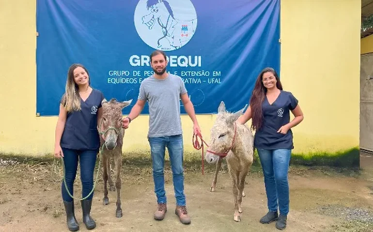 Fapesp destaca pesquisas da Ufal com jumentos nordestinos