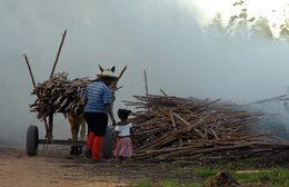 Quase 2 milhões de crianças são exploradas com trabalho no Brasil