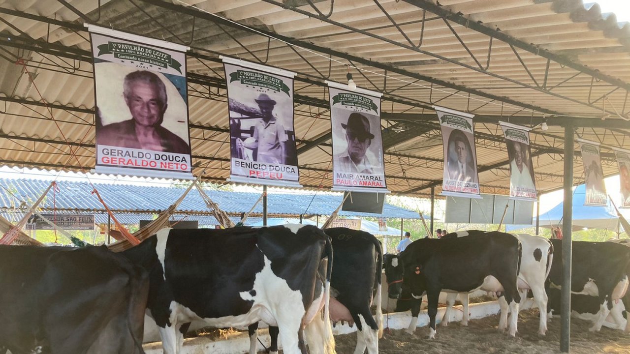 Programação da Expo Bacia Leiteira será apresentada na próxima sexta (19) em Batalha