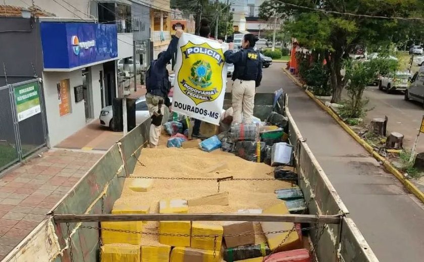 PRF faz a maior apreensão de maconha do ano: 16 toneladas da droga