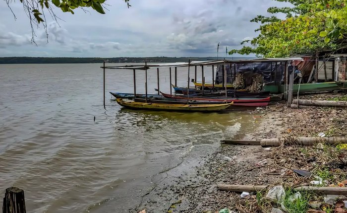 Complexo Mundaú-Manguaba, ﻿nos bairros do Vergel, Pontal da Barra e Bebedouro