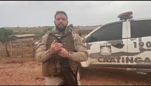 Operação Zebu interrompe roubo de gados no interior da Bahia e Sergipe; Confira.jpg