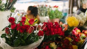 flores