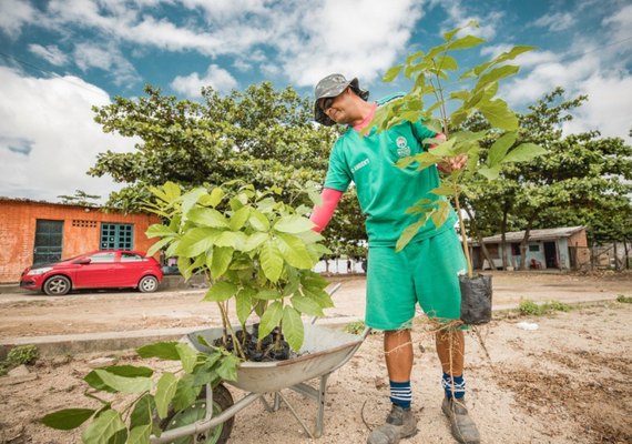 Espaços públicos de Maceió receberam 12 mil mudas de árvores nativas em 2023