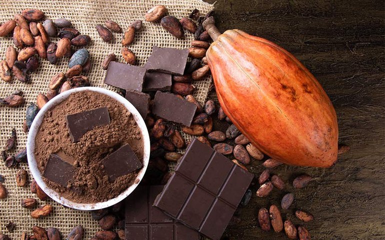 Percentual de cacau em chocolates está na pauta da CTFC nesta quarta