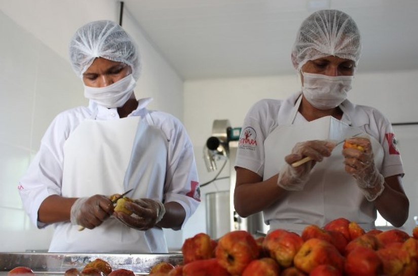 Produtores rurais de Delmiro Gouveia são capacitados pela Desenvolve