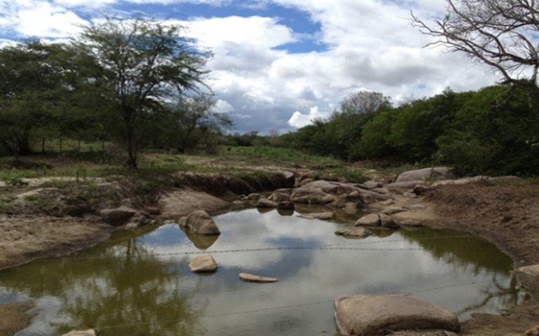 Alagoas sedia seminário e curso internacional de convivência com o Semiárido