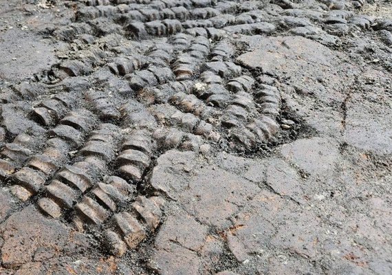 Misterioso piso de ossos antigos é descoberto nos Países Baixos (FOTOS)