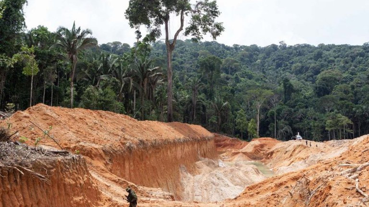 Comissão discute impactos do governo Bolsonaro no meio ambiente