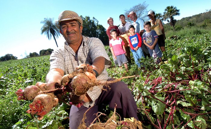 PL garante a criação de um plano de ajuda financeira a agricultores familiares que implantarem projetos elaborados por Serviço de Assistência Técnica e Extensão Rural